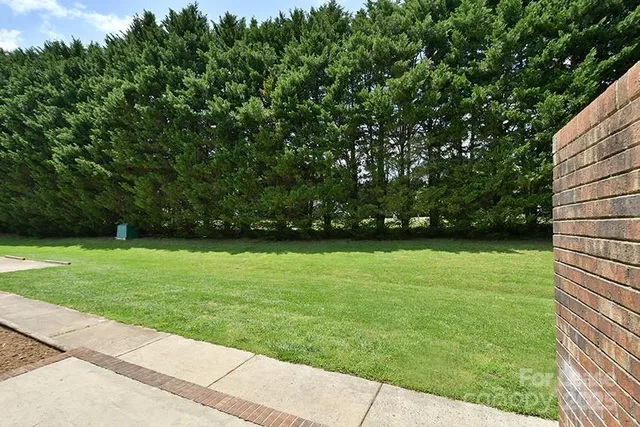 a view of yard with green space