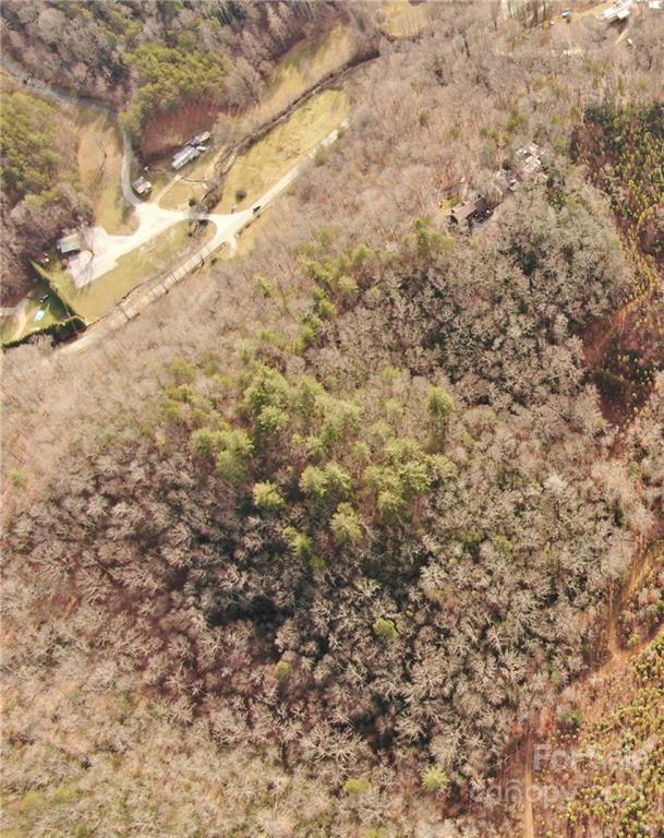 Vl Bat Cave Road Old Fort, NC 28762 - Photo 11 of 15 a view of a yard with trees