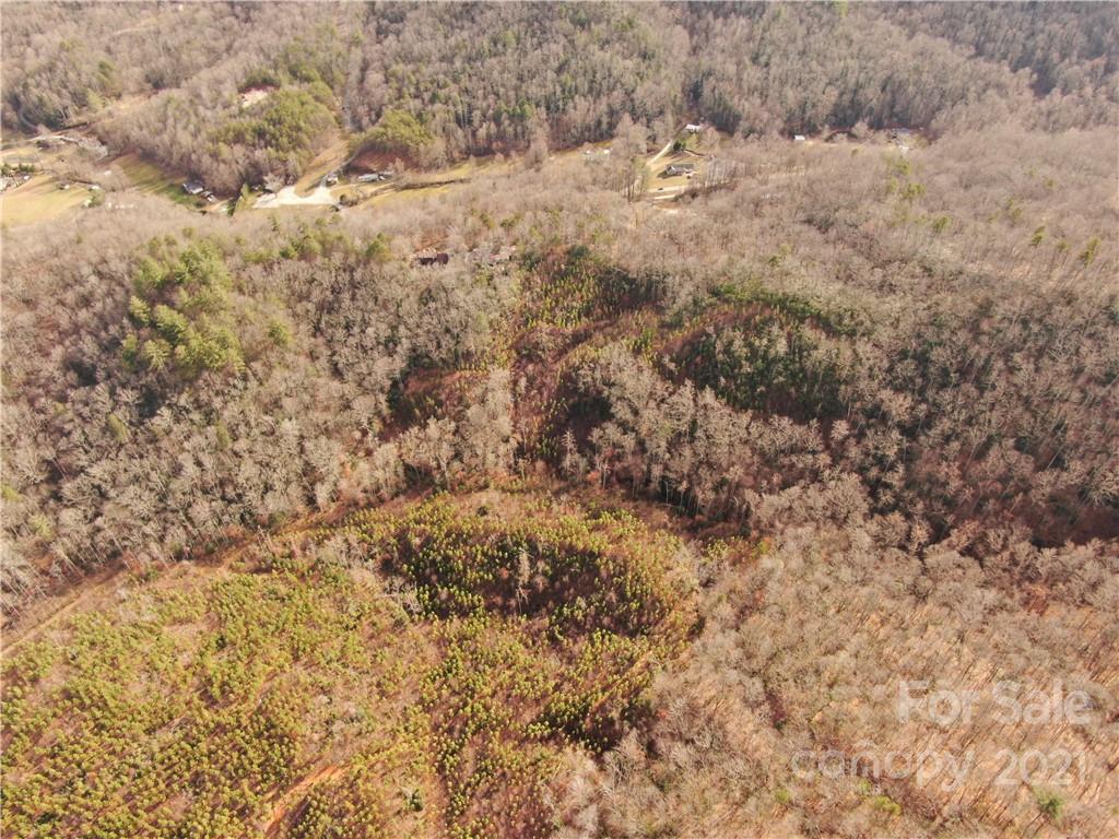 Vl Bat Cave Road Old Fort, NC 28762 - Photo 13 of 15 a view of a dry view of forest