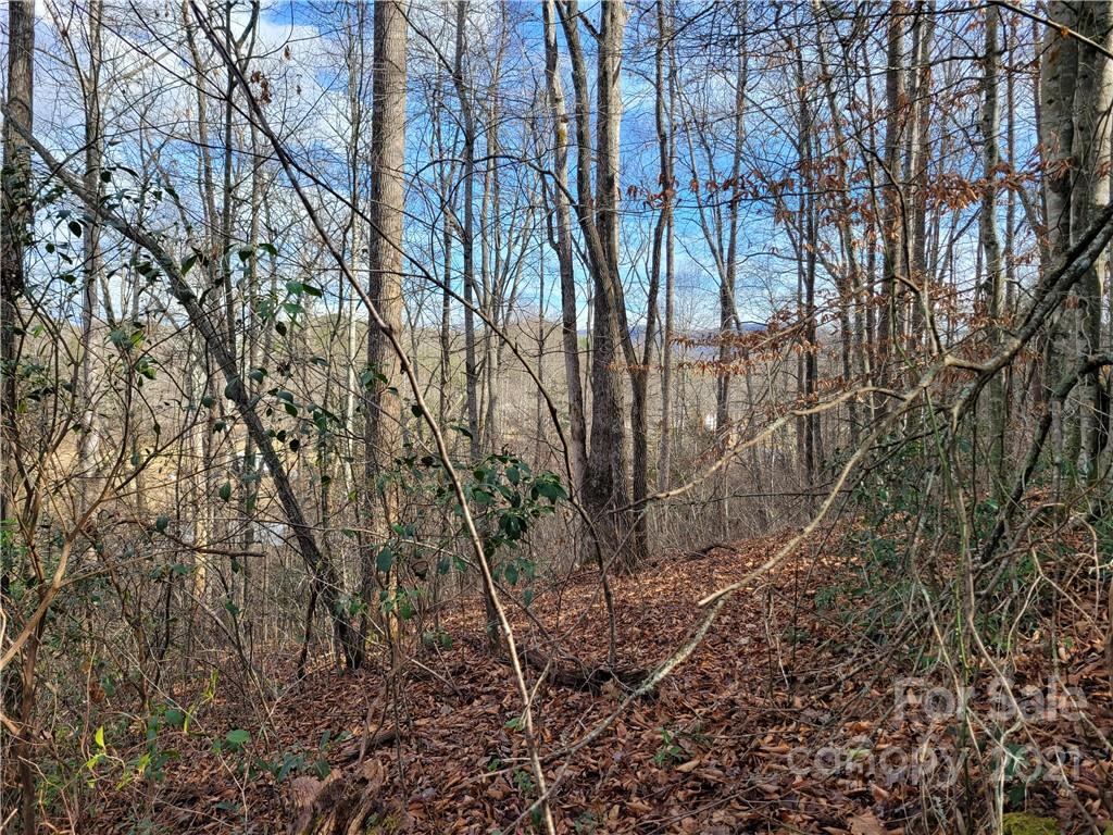 Vl Bat Cave Road Old Fort, NC 28762 - Photo 5 of 15 a backyard of a house with lots of green space