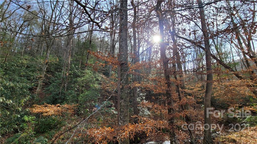 Vl Bat Cave Road Old Fort, NC 28762 - Photo 8 of 15 a view of forest