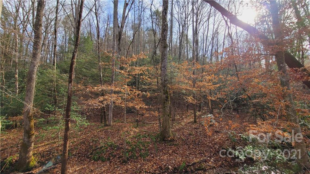 Vl Bat Cave Road Old Fort, NC 28762 - Photo 10 of 15 a view of a yard with trees and flowers