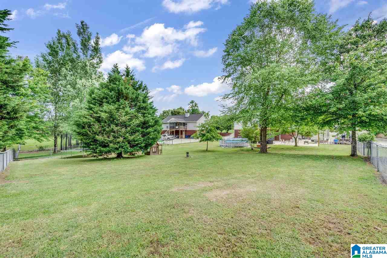 6456 Water Works Road Mount Olive, AL 35117 - Photo 30 of 40
