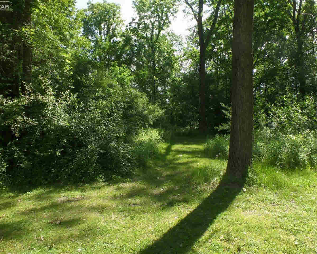 7401 Rathbun Road Birch Run, MI 48415 - Photo 8 of 31 21310627-7.JPG