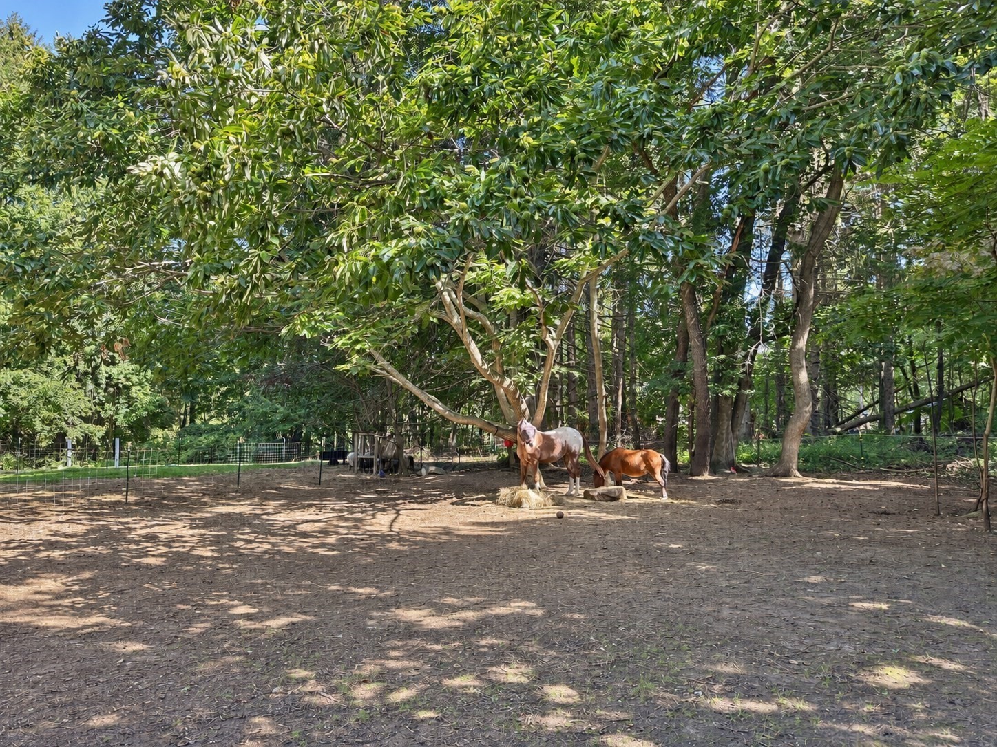 5 Putnam Hill Road Sutton, MA 01590 - Photo 31 of 35 Gallery Image 31