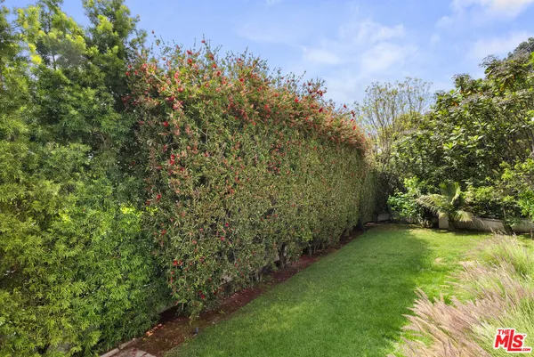 a view of a yard with a tree