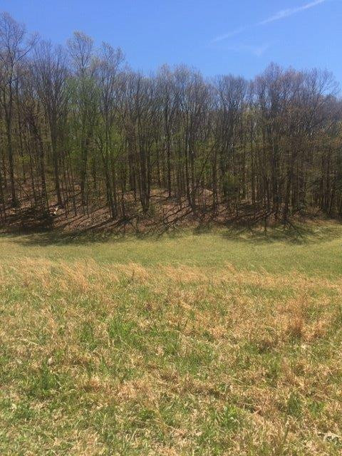 9999 Rubin Ridge Road London, KY 40741 - Photo 14 of 17 Photo 14