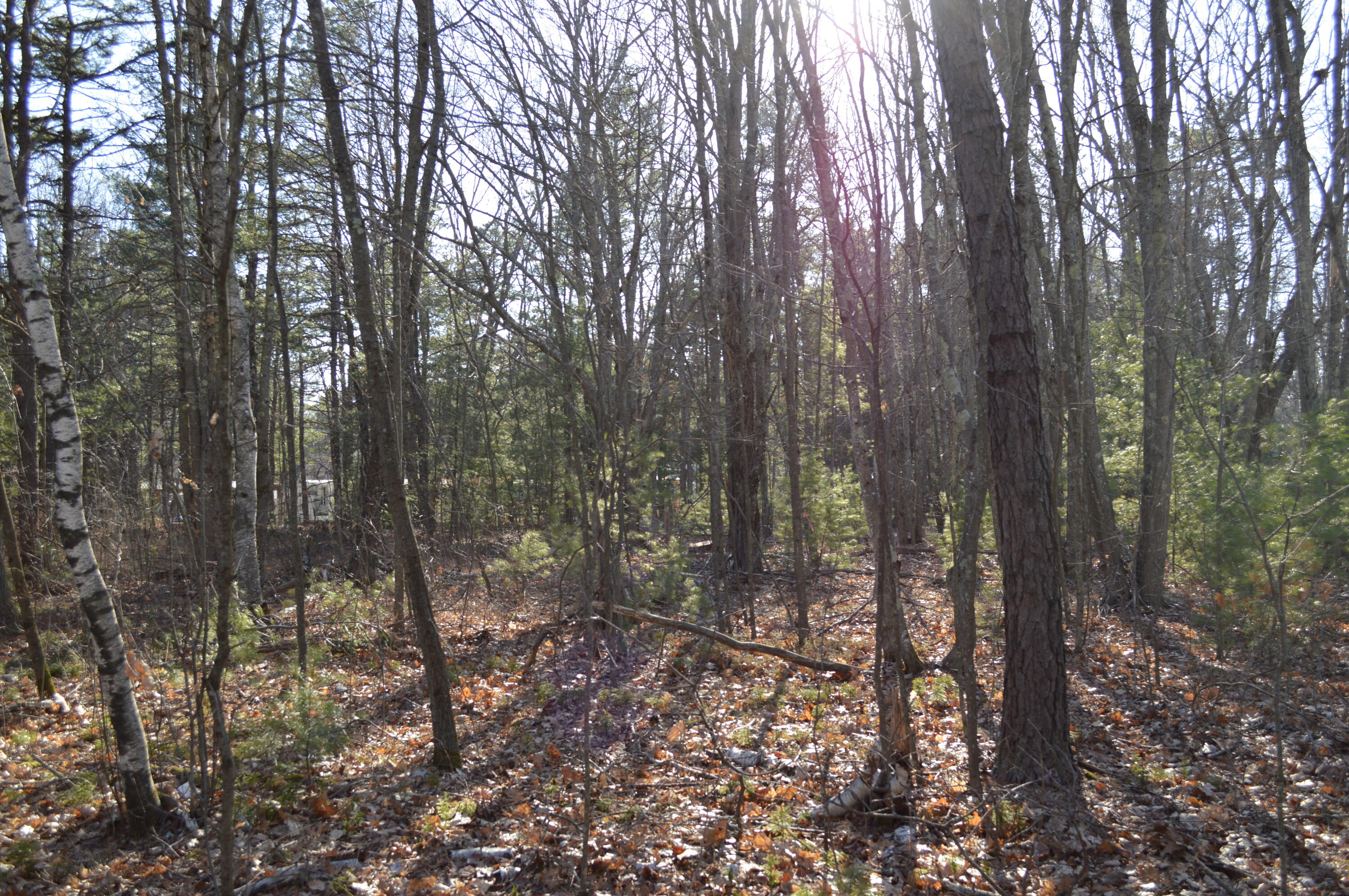 270 Alfred Road Kennebunk, ME 04043 - Photo 3 of 8 DSC_0709