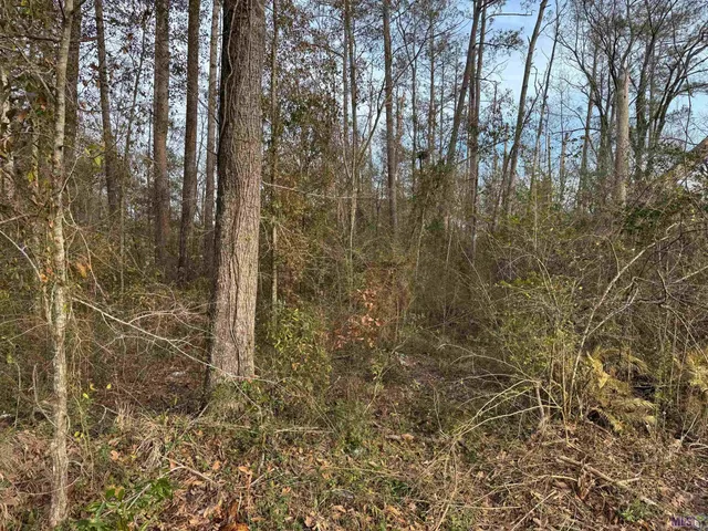 $20,000 | 25428 Wisteria Lane, Springfield, LA 70462