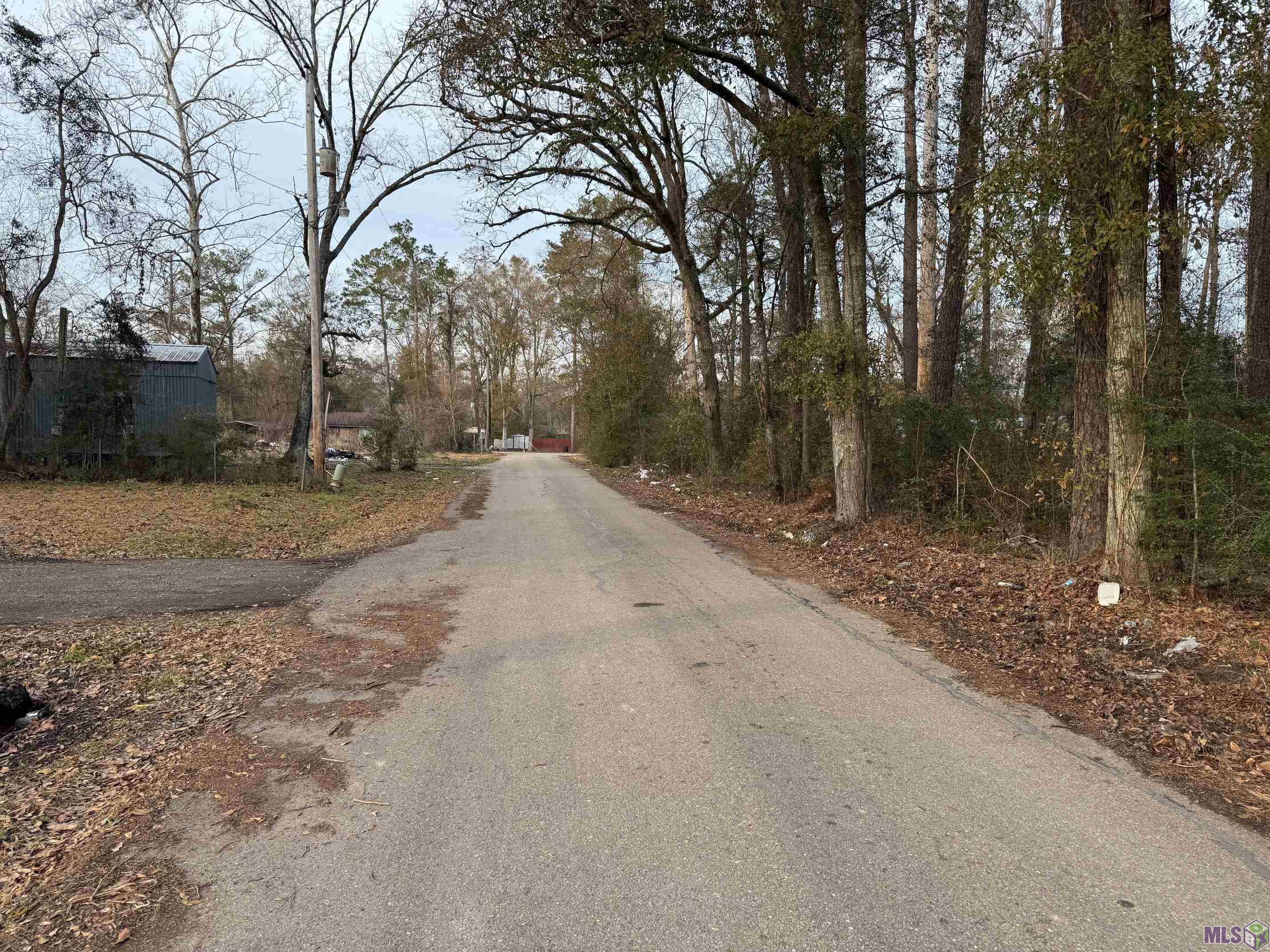 25428 Wisteria Lane Springfield, LA 70462 - Photo 6 of 6