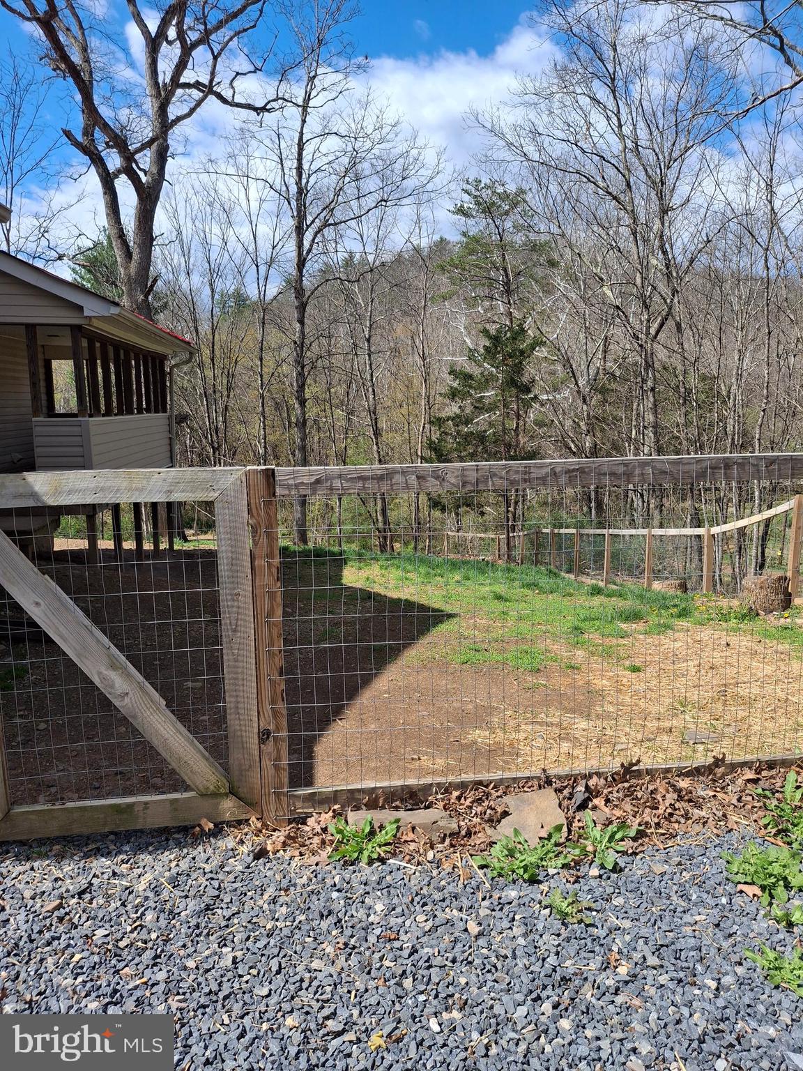6684 Carpers Pike Yellow Spring, WV 26865 - Photo 49 of 68 Back yard