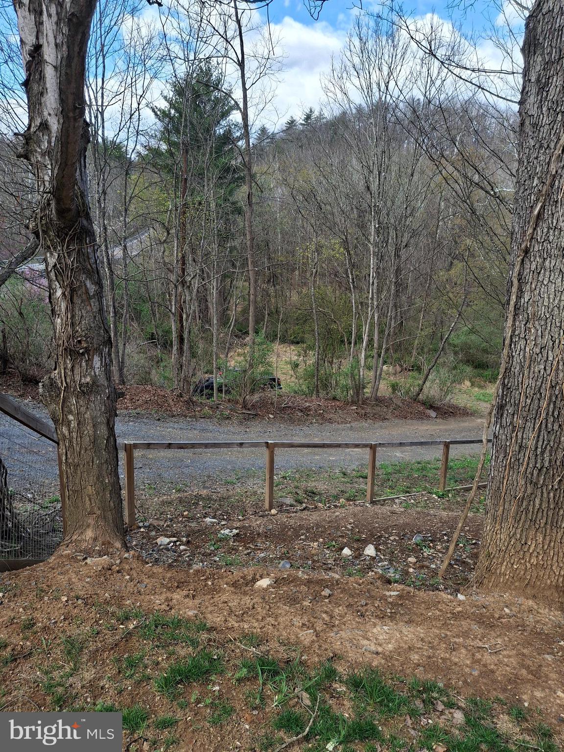 6684 Carpers Pike Yellow Spring, WV 26865 - Photo 51 of 68 Property extends across gravel road