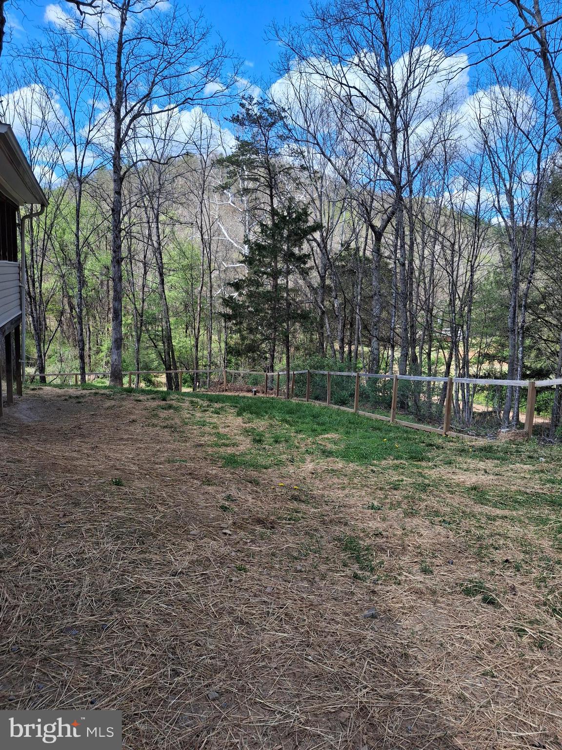 6684 Carpers Pike Yellow Spring, WV 26865 - Photo 62 of 68 Back yard