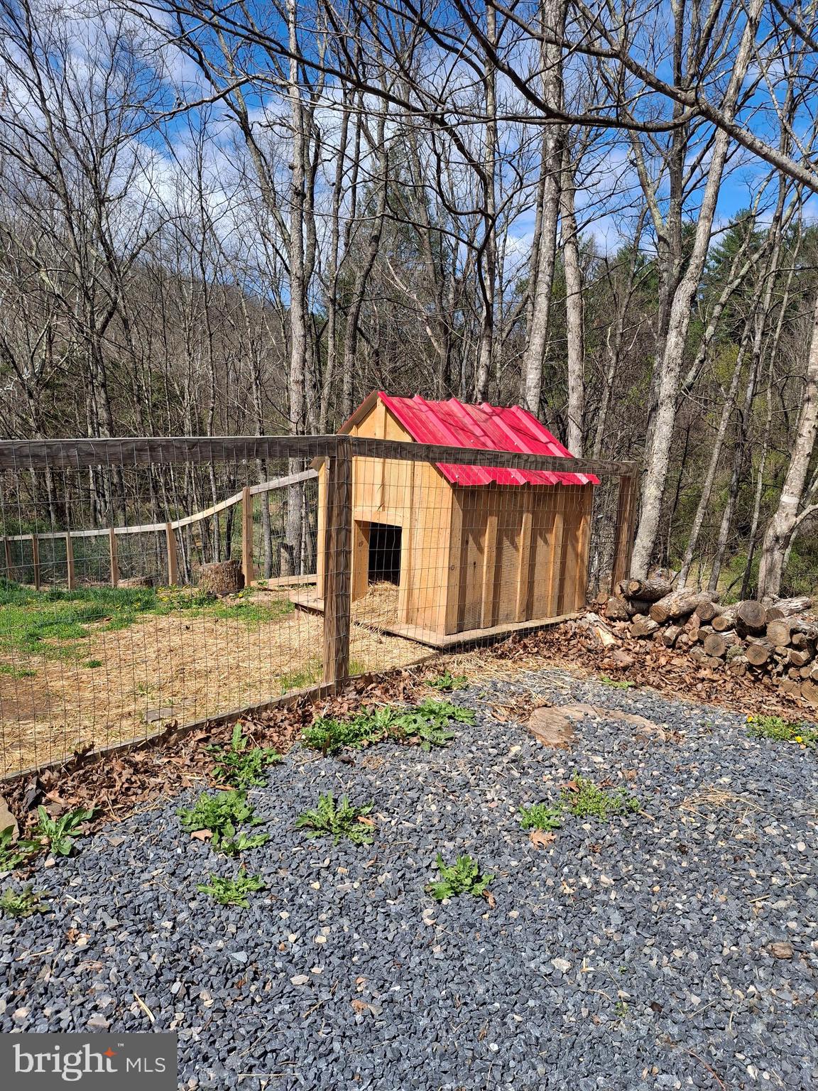 6684 Carpers Pike Yellow Spring, WV 26865 - Photo 7 of 68 Dog house