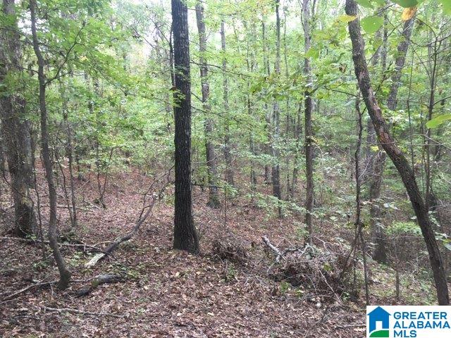 7101 Joinertown Road, Unit 1 Columbiana, AL 35051 - Photo 1 of 3