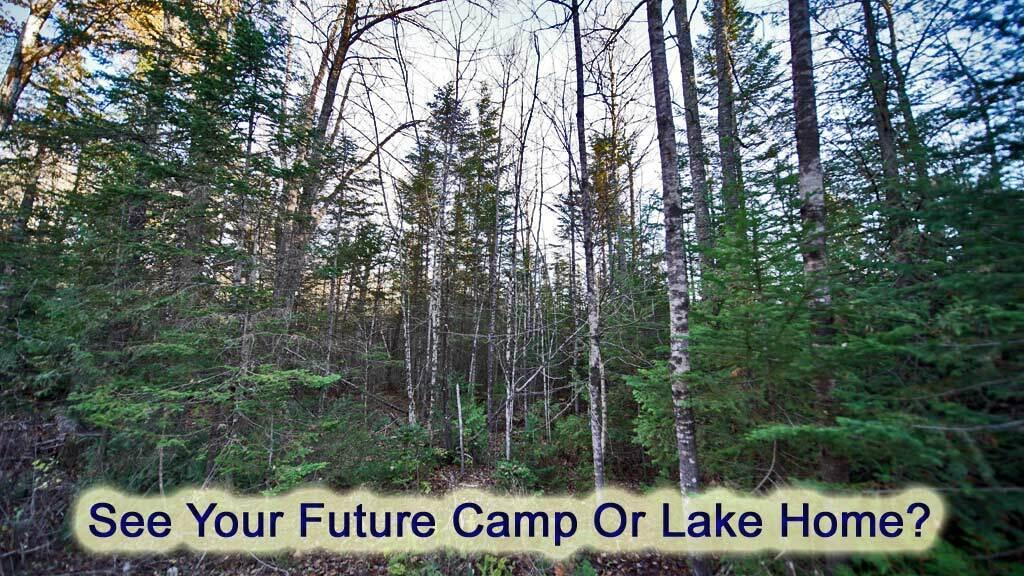 Lot 18 South Oakfield Road Houlton, ME 04730 - Photo 5 of 32 lake-me-land-sites