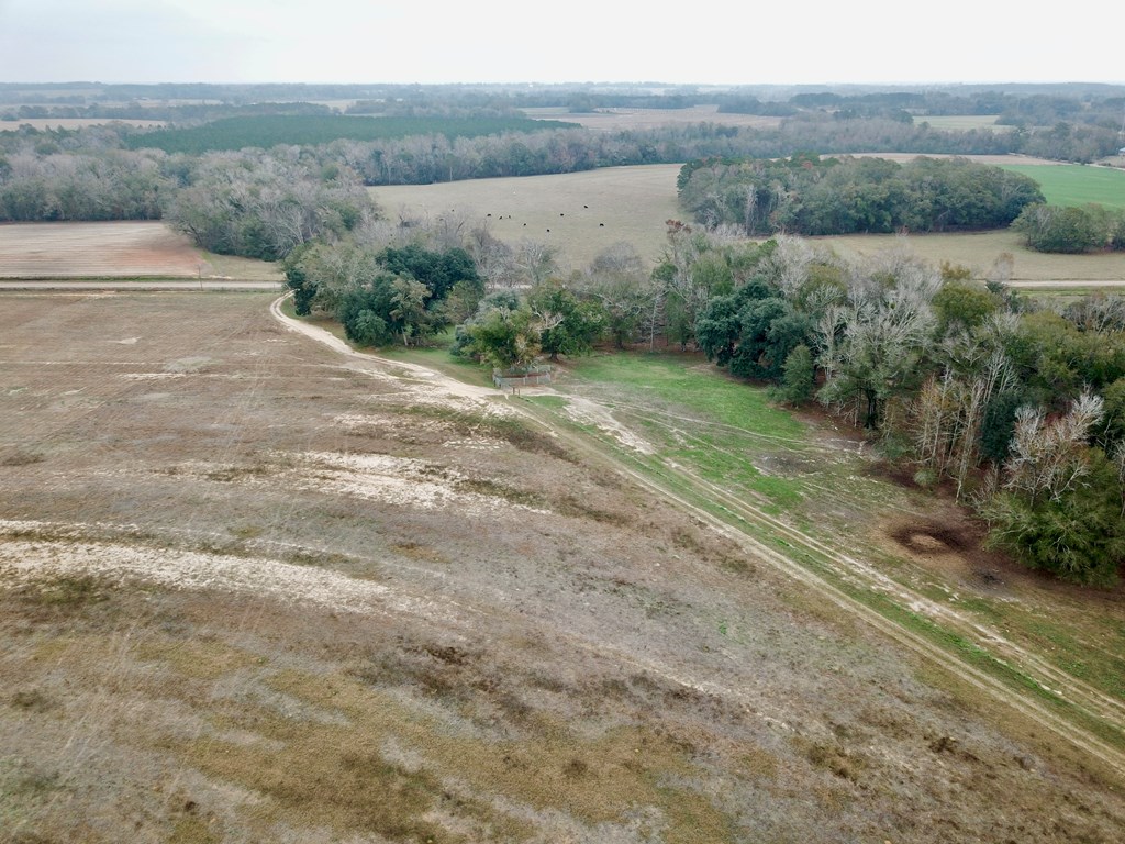 3161 Cedar Springs Road Ashford, AL 36312 - Photo 4 of 16