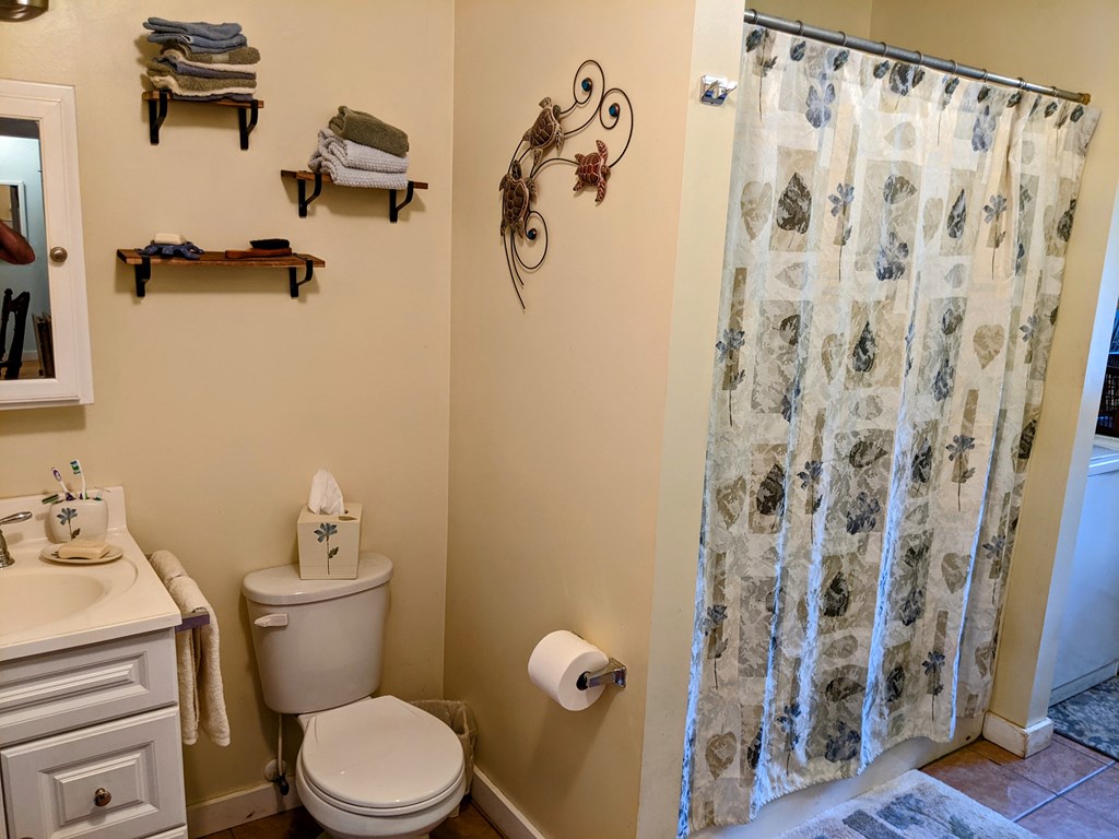 438 Brock Road Honea Path, SC 29654 - Photo 19 of 34