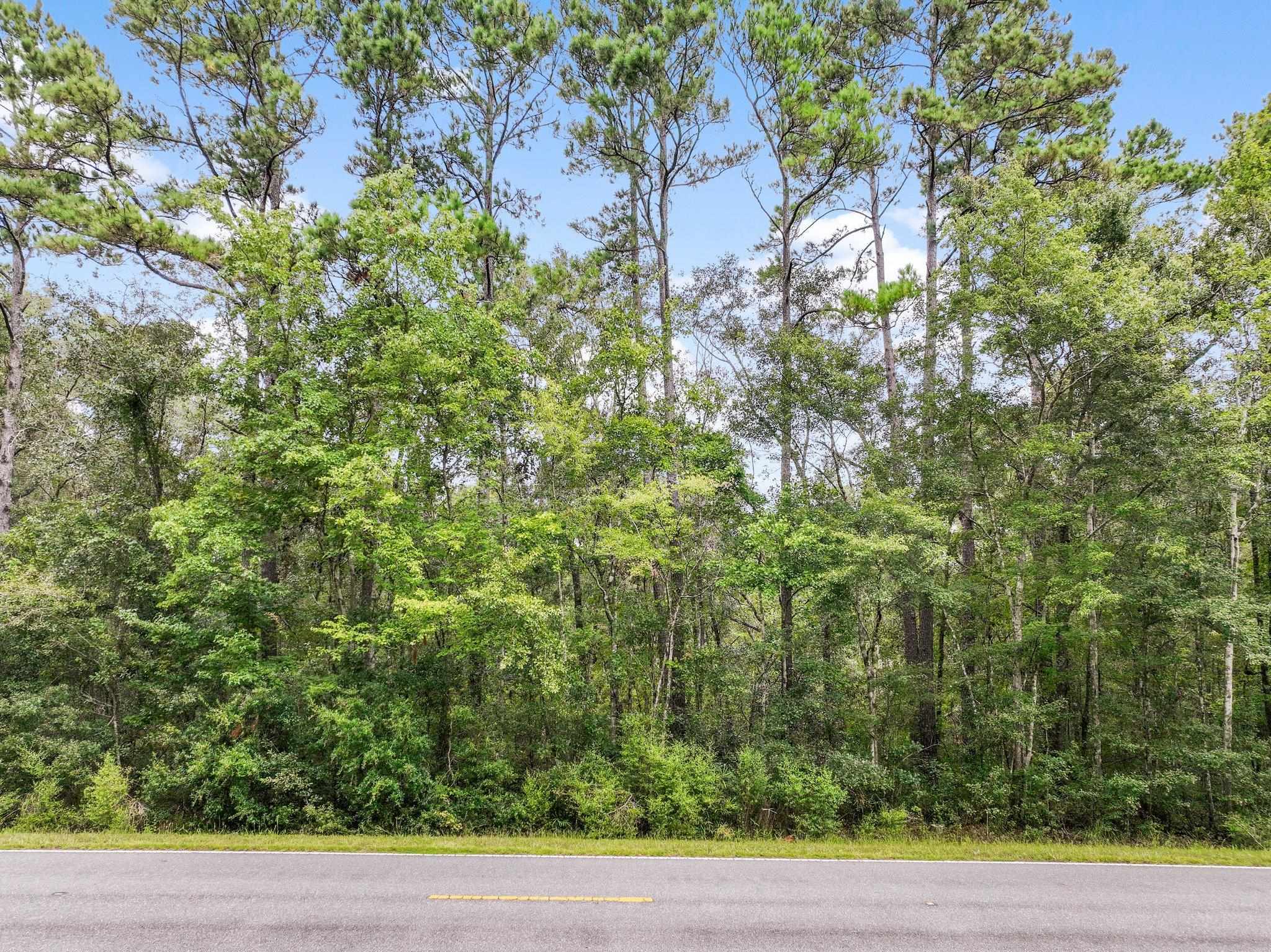 Tram Road Monticello, FL 32344 - Photo 5 of 10