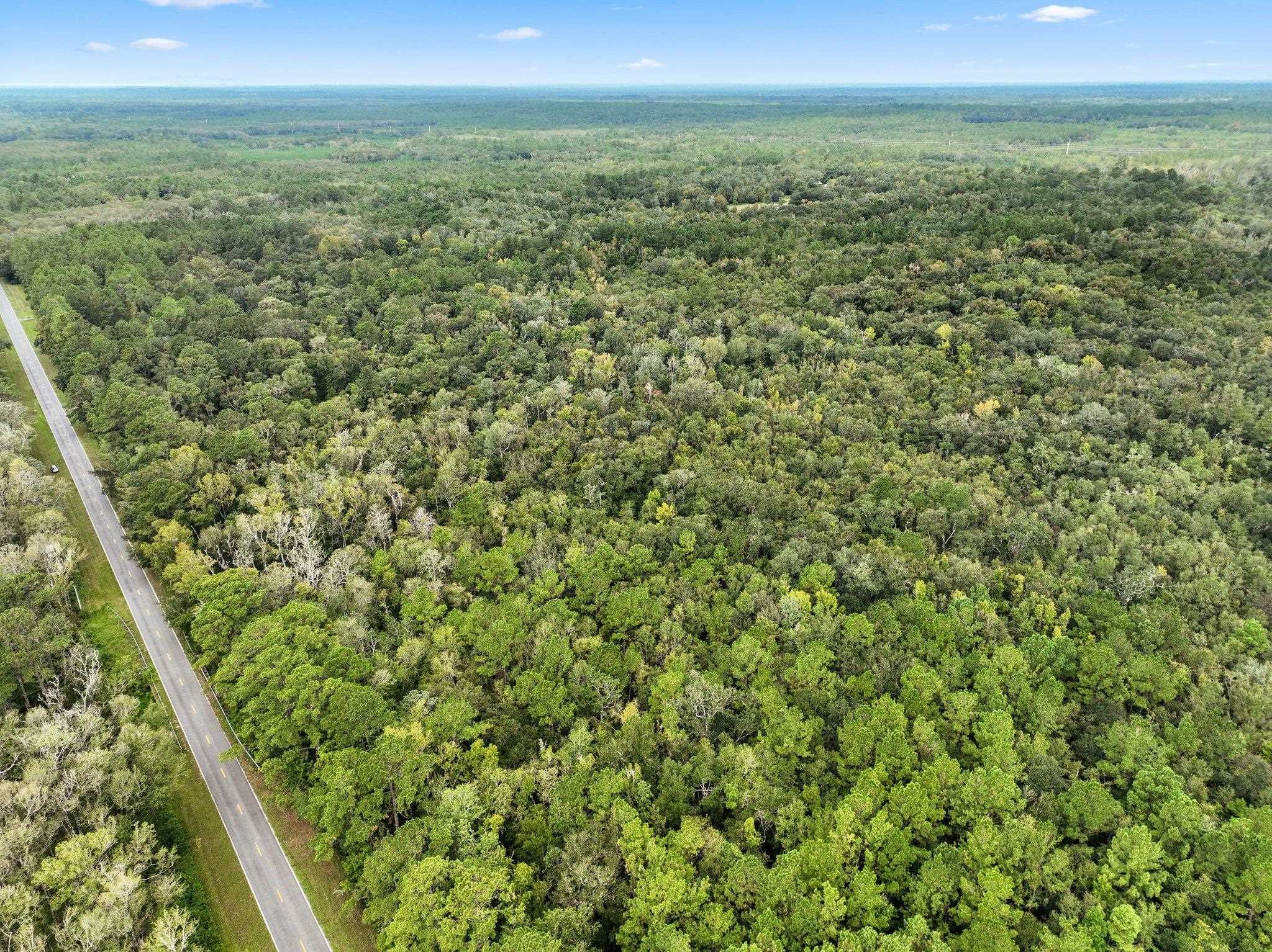 Tram Road Monticello, FL 32344 - Photo 8 of 10