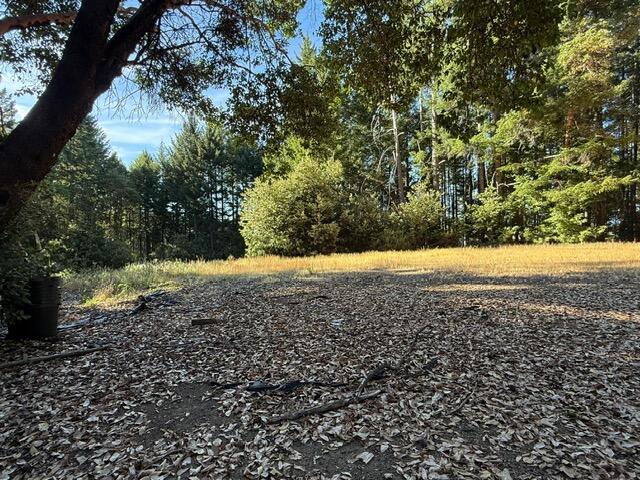 4149 Wilder Ridge Road Garberville, CA 95542 - Photo 11 of 23