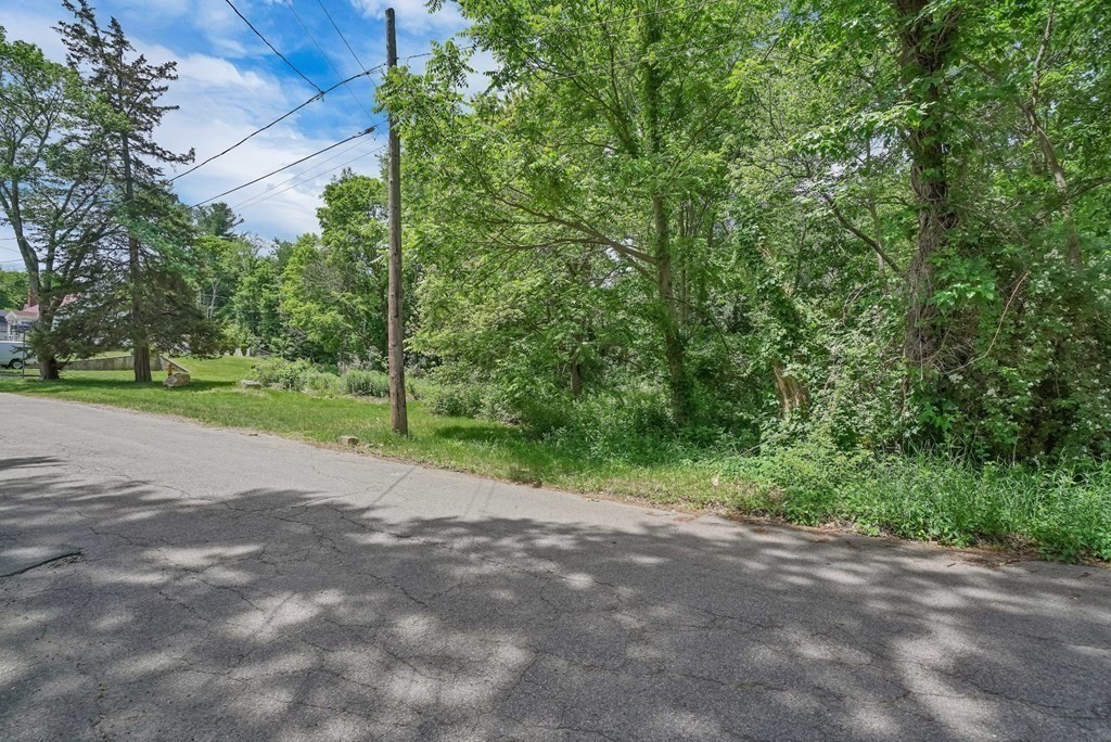 18 Castleton Avenue Randolph, MA 02368 - Photo 25 of 25 a view of a yard with plants and trees
