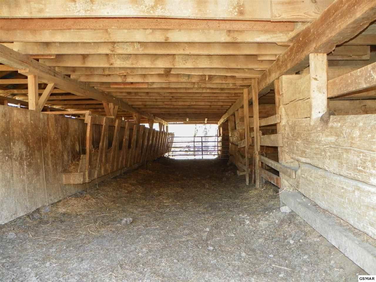 1085 Highway 107 Del Rio, TN 37727 - Photo 8 of 32