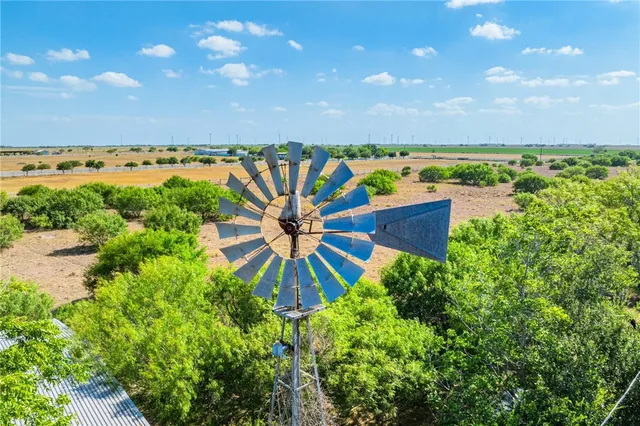a view of a yard with plants and large trees