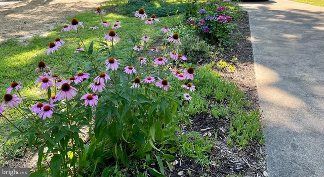 $195,000 | 815 Cabin Point Drive, Montross, VA 22520