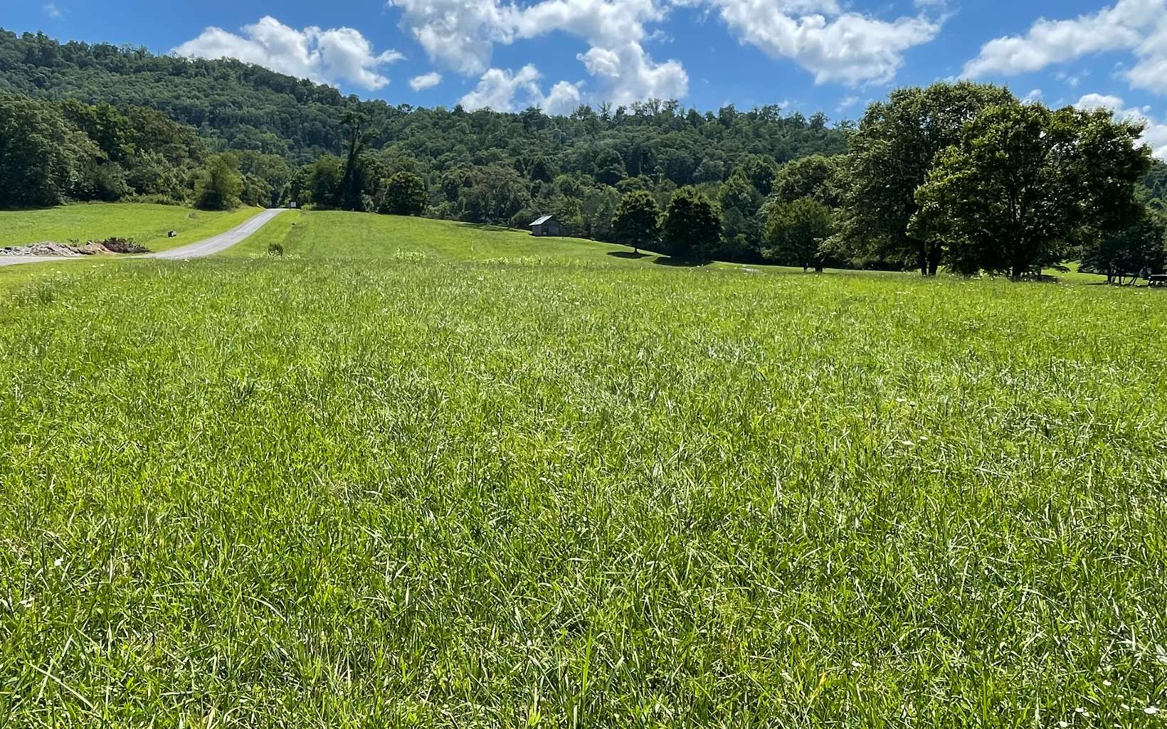 8 M Ridges Hayesville, NC 28904 - Photo 3 of 9 Additional View