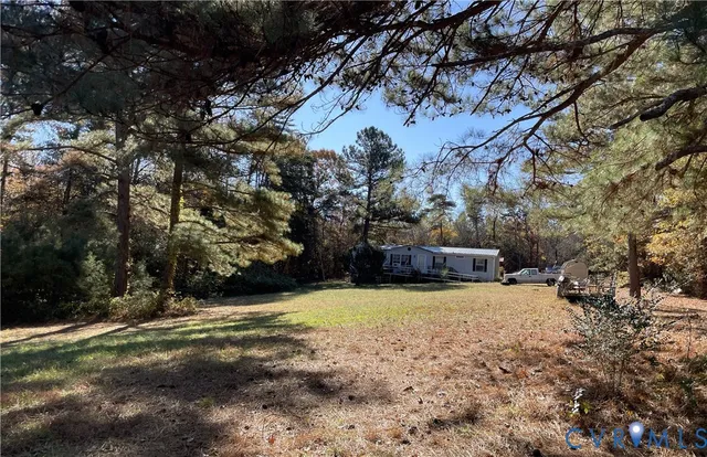 a view of a backyard with large trees