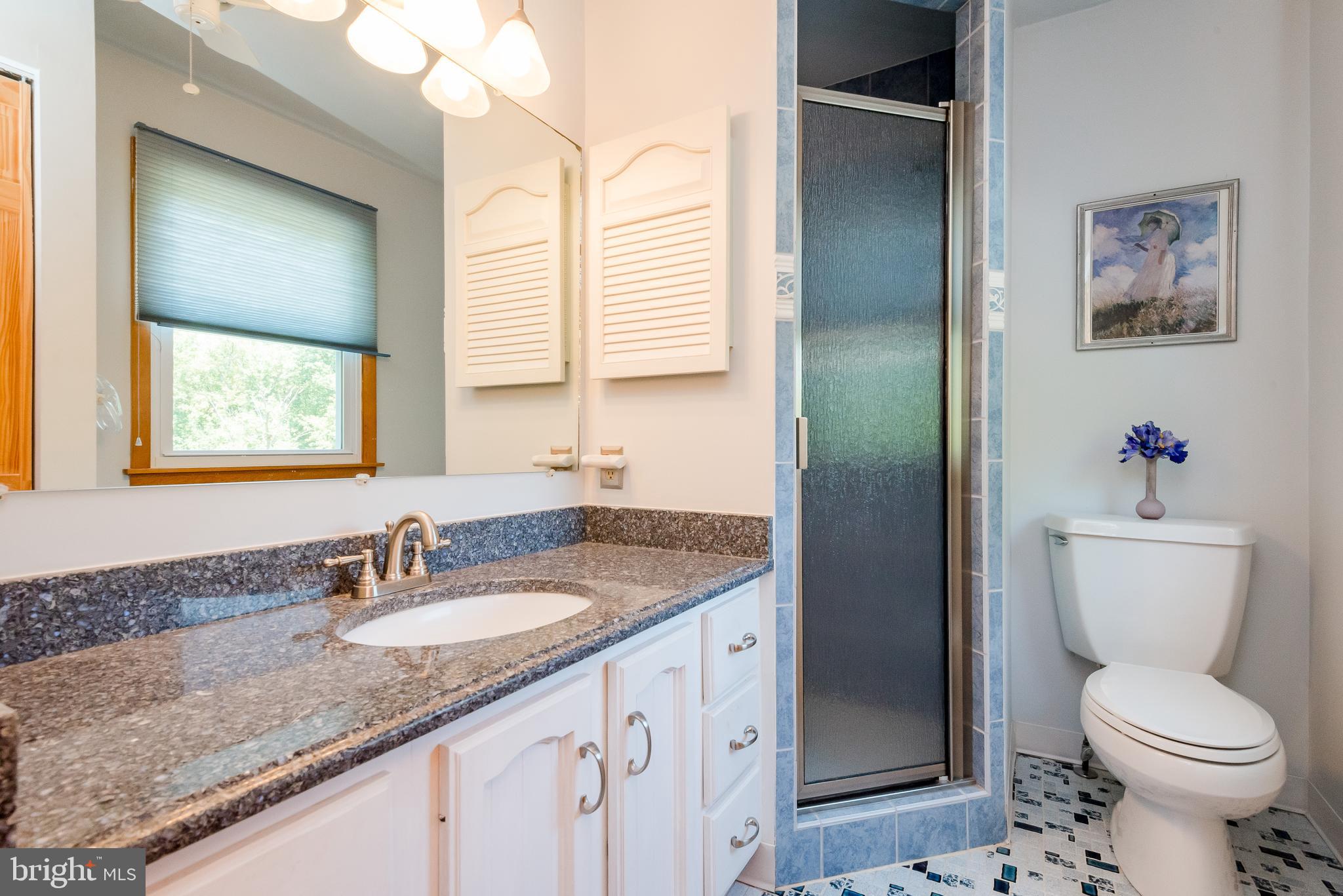 1768 Nanticoke Road Pasadena, MD 21122 - Photo 18 of 39 Master bath with granite top vanity