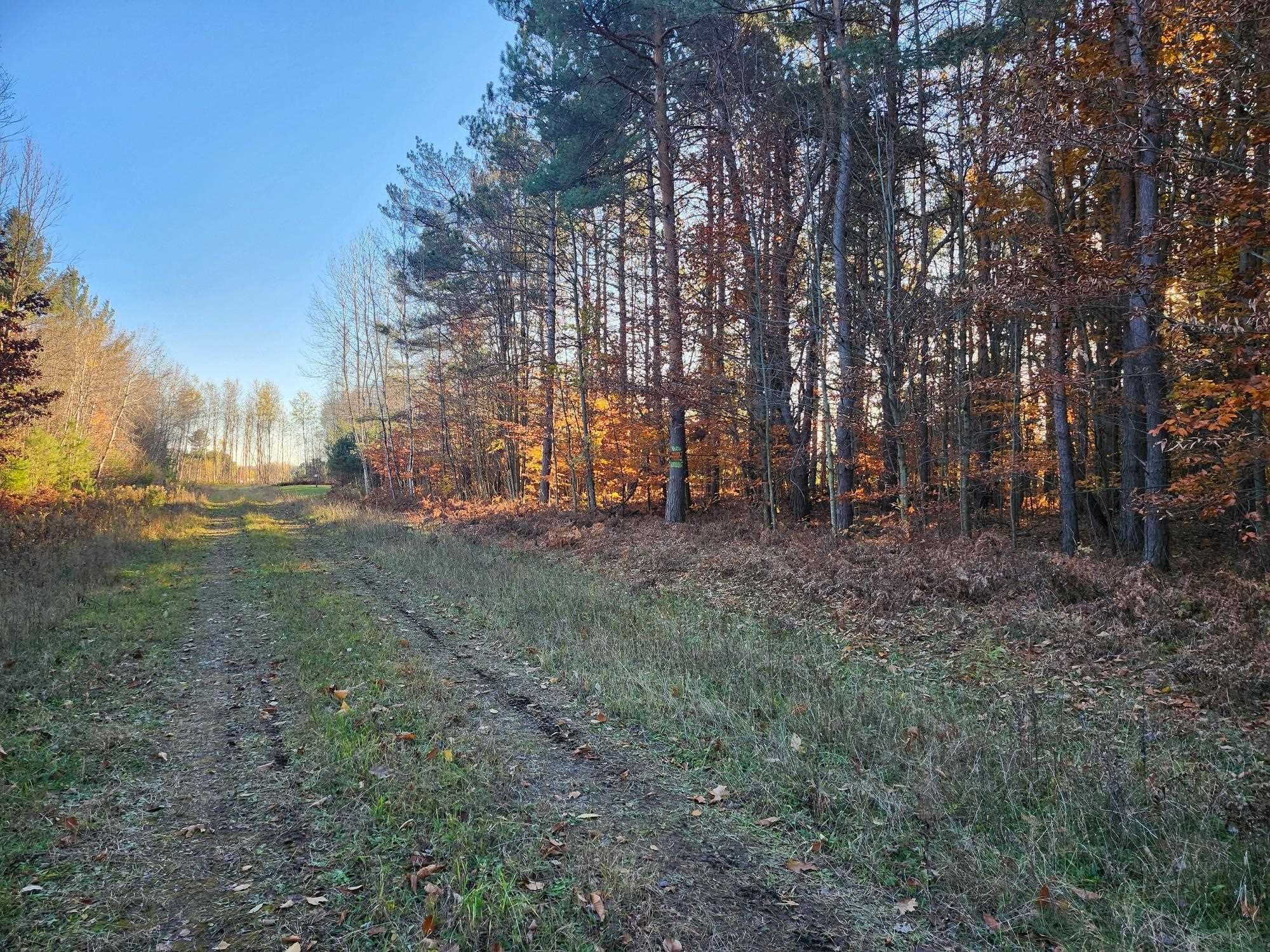 9 9 Mile Road Free Soil, MI 49411 - Photo 2 of 13