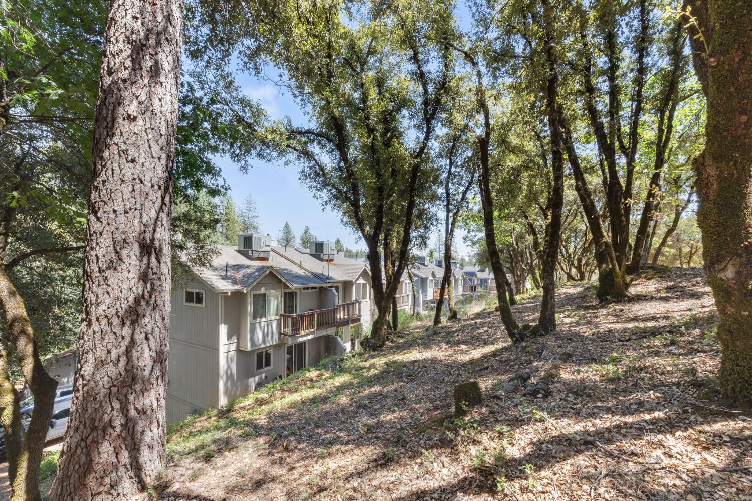 1392 Oak Ridge Drive Colfax, CA 95713 - Photo 40 of 44