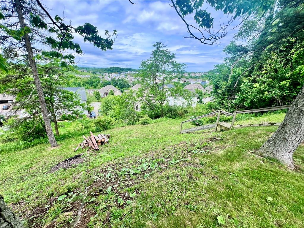164 Gill Hall Road Clairton, PA 15025 - Photo 27 of 30 a view of a garden with a tree