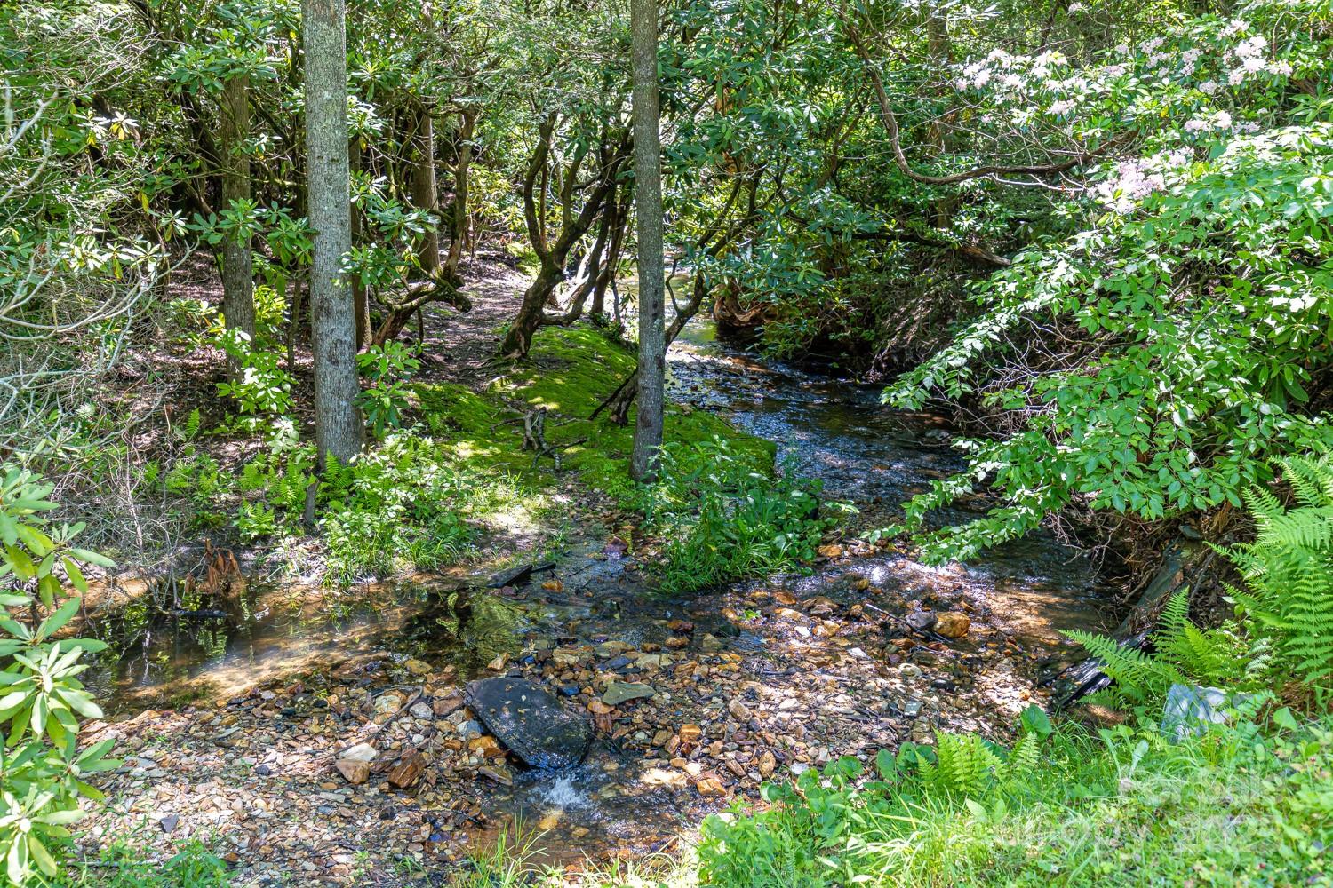 26 Upper Ridge Road Black Mountain, NC 28711 - Photo 36 of 42