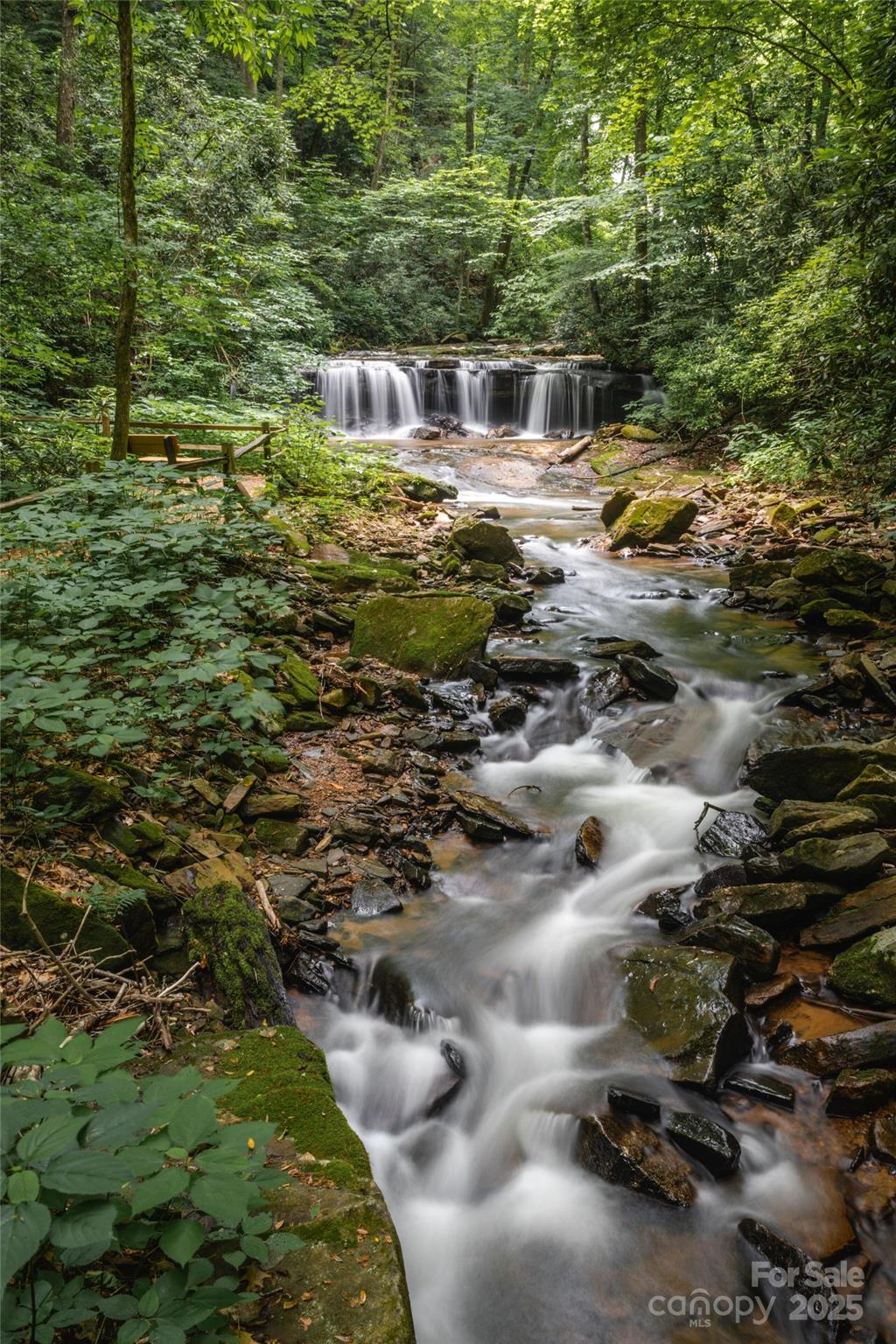 26 Upper Ridge Road Black Mountain, NC 28711 - Photo 39 of 42