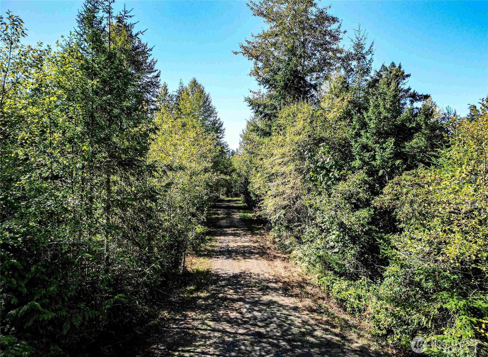 4 Colville Rd Port Port Angeles, WA 98363 - Photo 15 of 37 Gallery Image 15