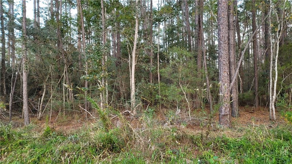 999 Bayou Pacquet Road Lacombe, LA 70445 - Photo 1 of 4 Gallery Image 1