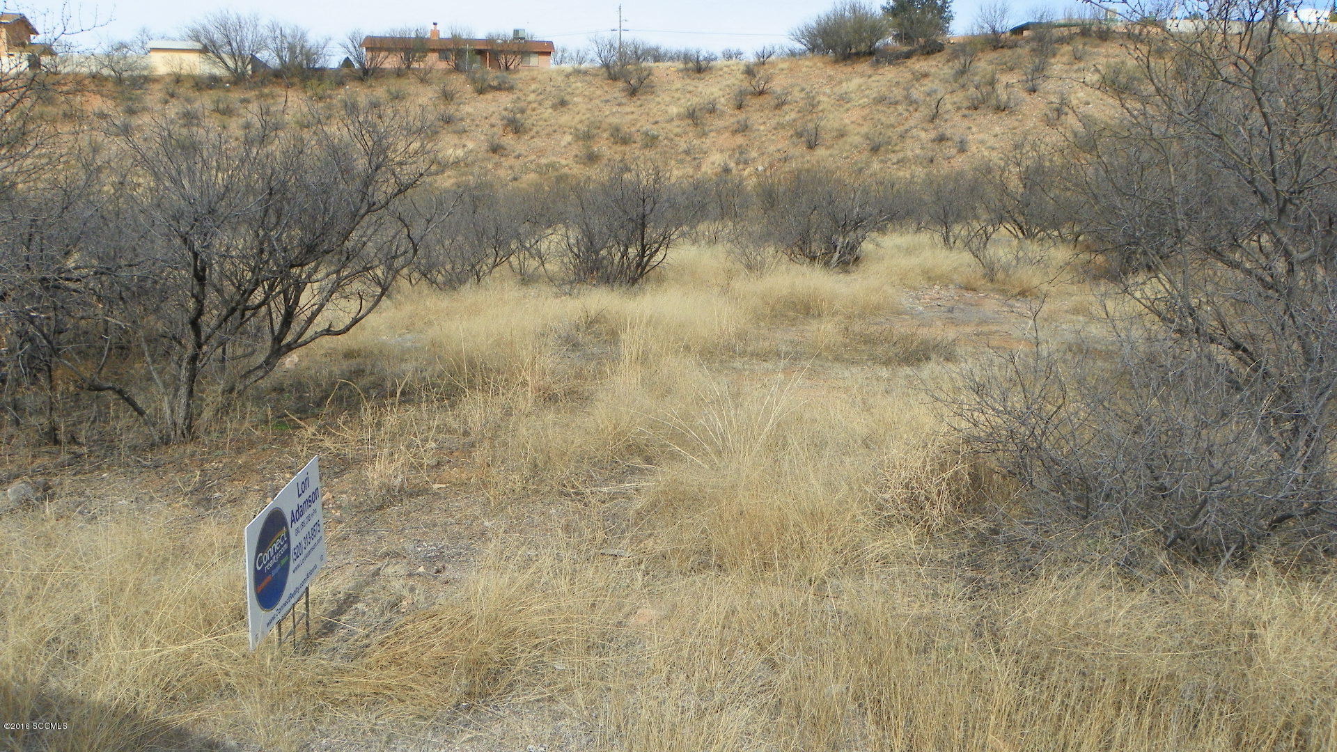 278 Valley View Drive Rio Rico, AZ 85648 - Photo 1 of 9