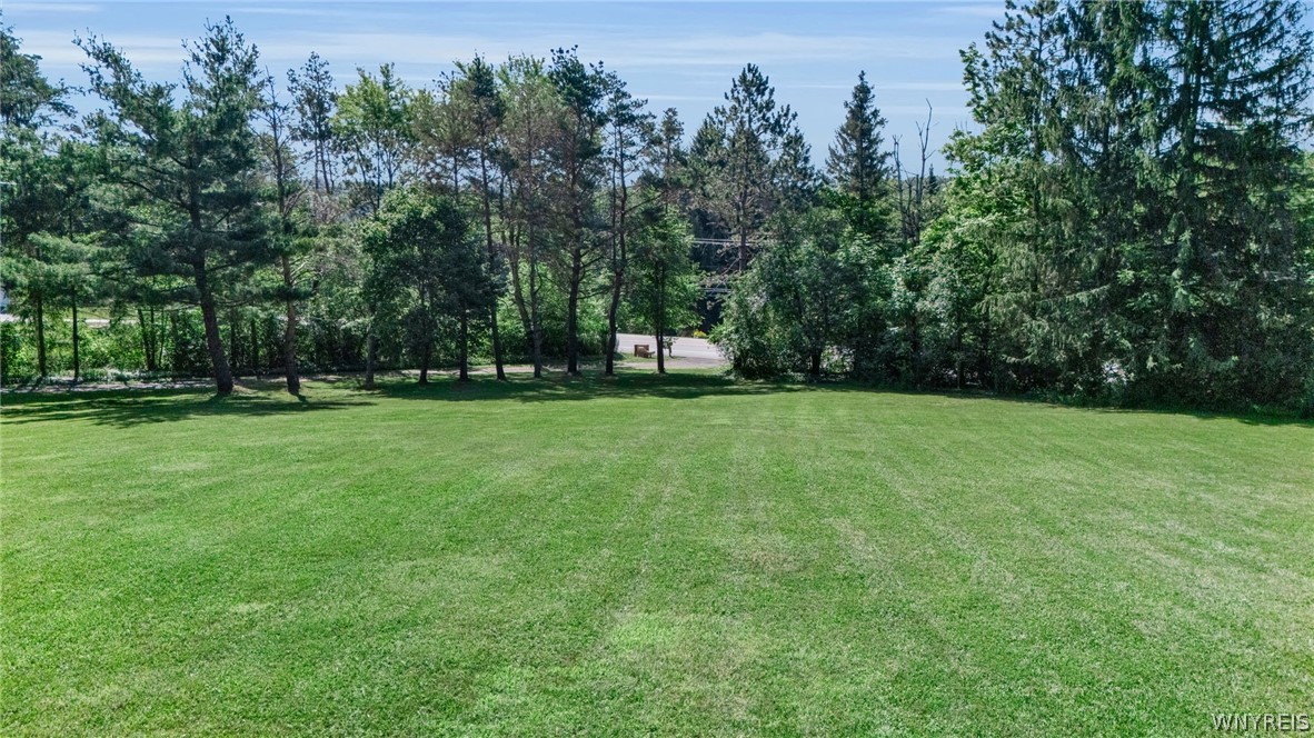 13220 Big Tree Road Wales, NY 14037 - Photo 41 of 45