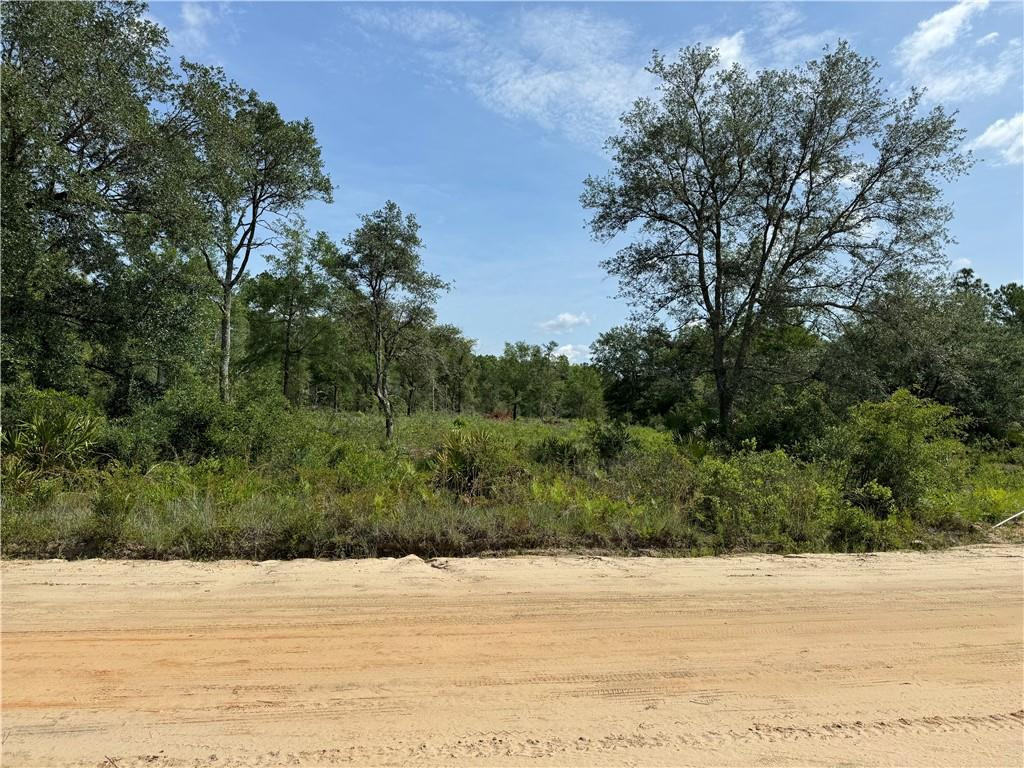 13-acres) Harvest Road Nahunta, GA 31553 - Photo 1 of 1 Gallery Image 1