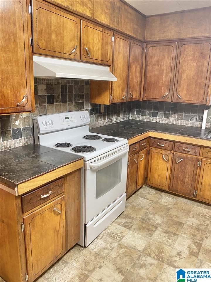 205 Tugalo Road Oneonta, AL 35121 - Photo 3 of 15 Gallery Image 3