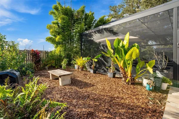 a view of banana tree