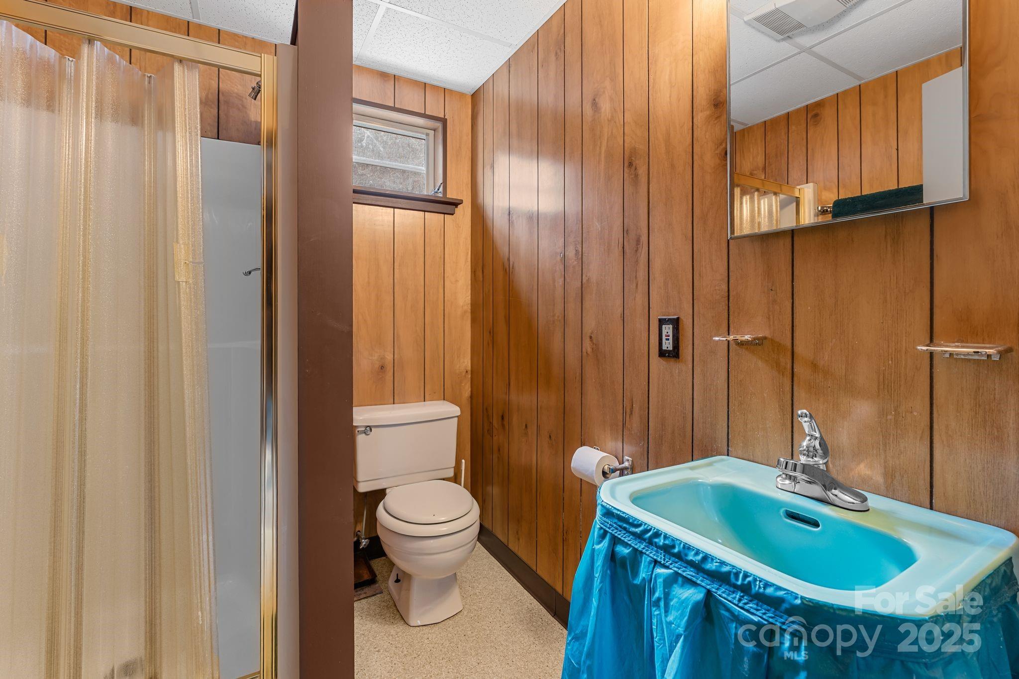2650 Secluded Valley Road Marshall, NC 28753 - Photo 24 of 36 a bathroom with a sink a toilet and shower