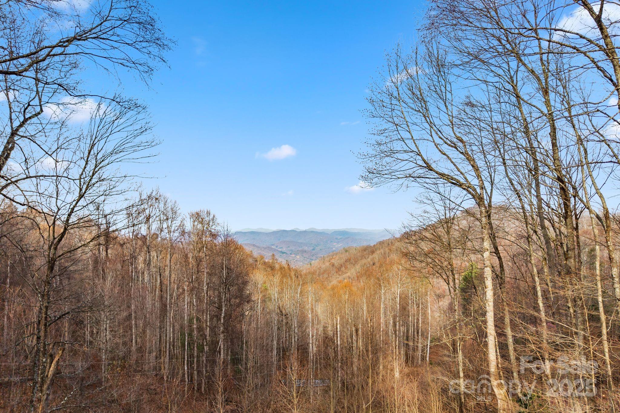 2650 Secluded Valley Road Marshall, NC 28753 - Photo 26 of 36 a view of a dry yard with wooden fence and trees