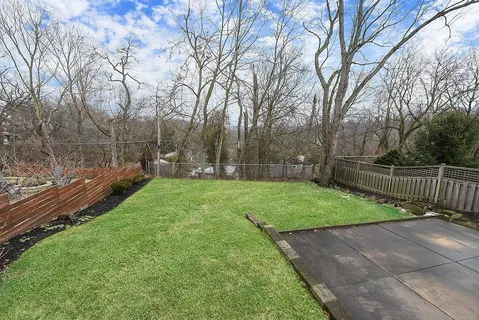 a view of a backyard with a large trees