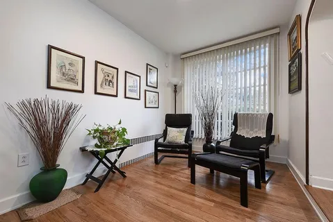 a living room with furniture and a potted plant
