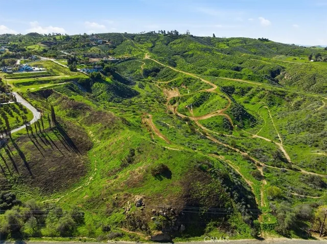 a view of a lush green forest with houses