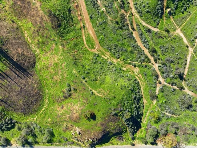 a view of a yard with plants